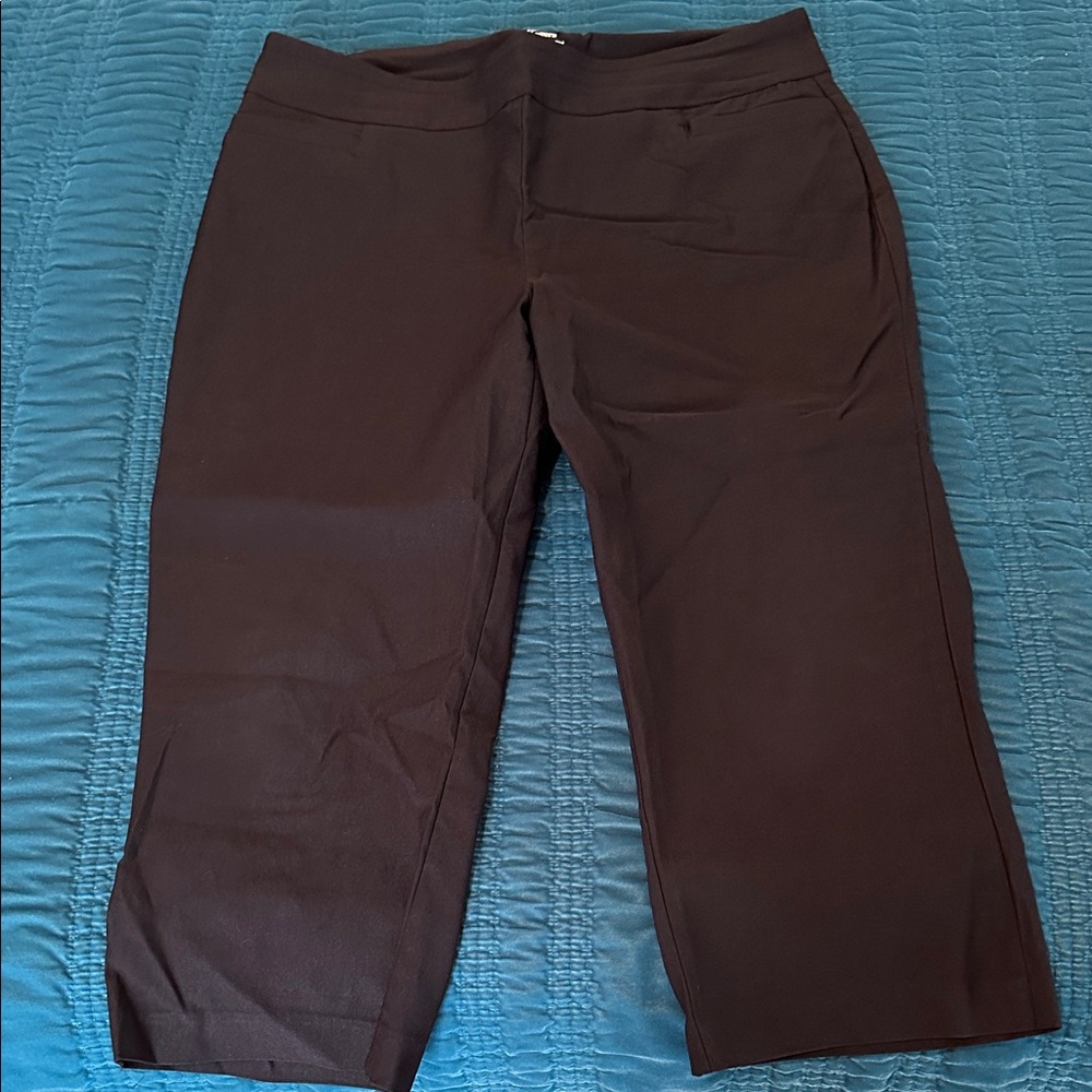 Kim Rogers Brown Tummy Control Pants